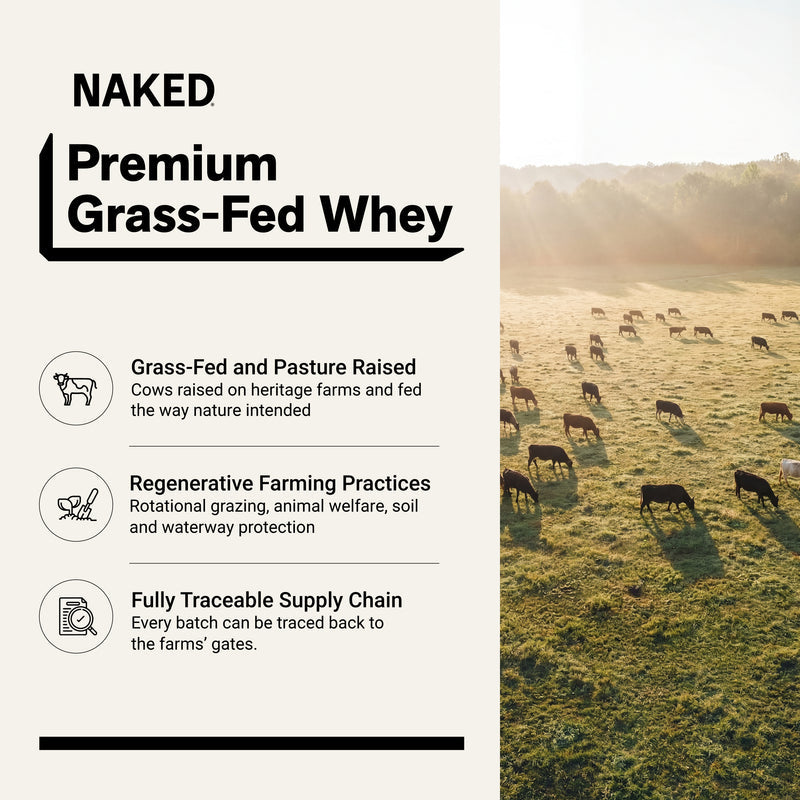 Chocolate Whey Protein Powder - Chocolate