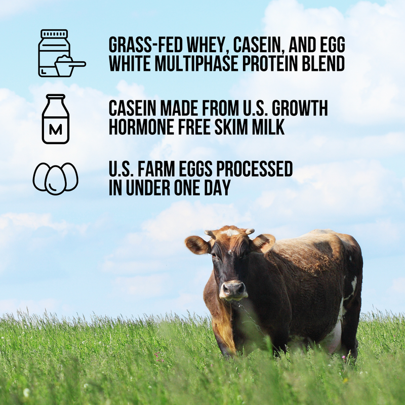 Protein Powder Blend - 1LB Egg Whey & Casein Protein Blend - 1LB