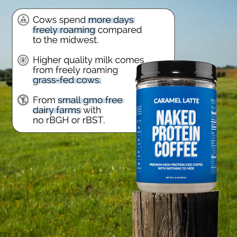 Caramel Latte Protein Iced Coffee - Caramel Latte