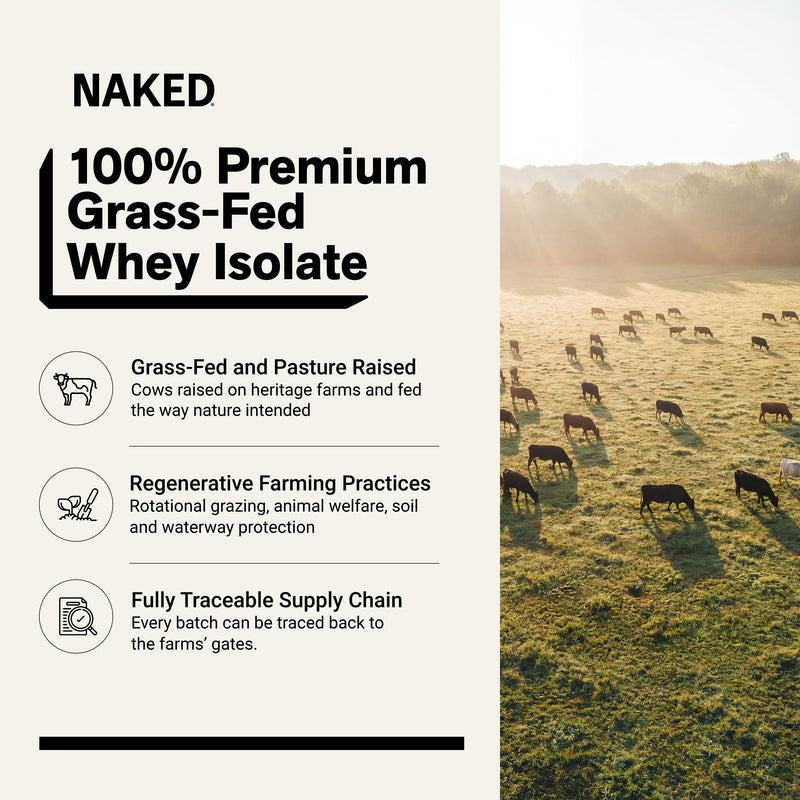 Chocolate Peanut Butter Grass-Fed Whey Isolate Protein Powder - Chocolate Peanut Butter