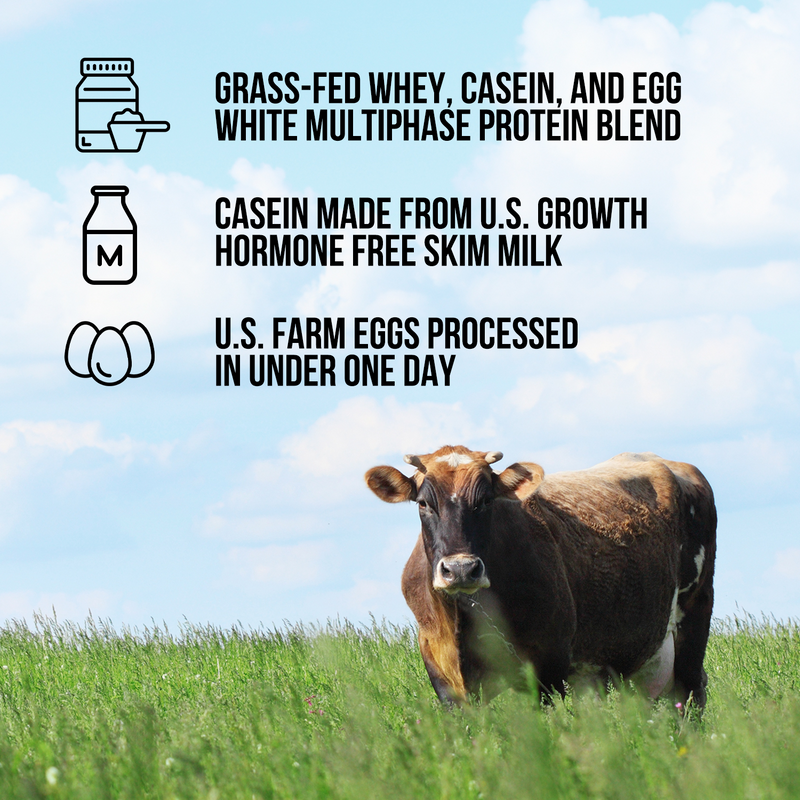 Protein Powder Blend - 3LB Egg Whey & Casein Protein Blend - 3LB