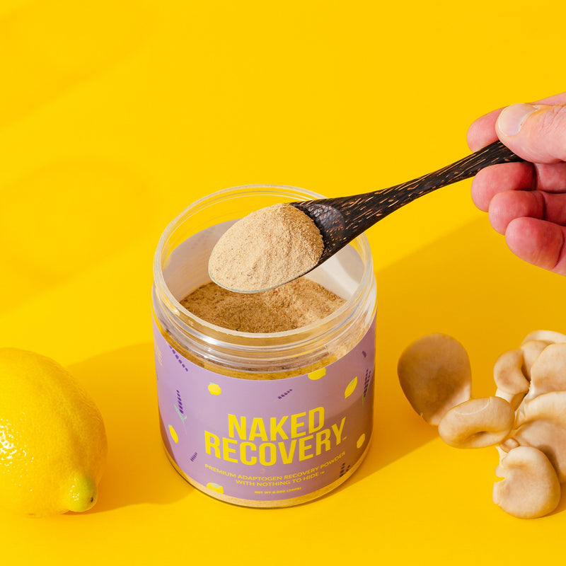 Recovery Mushroom Supplement