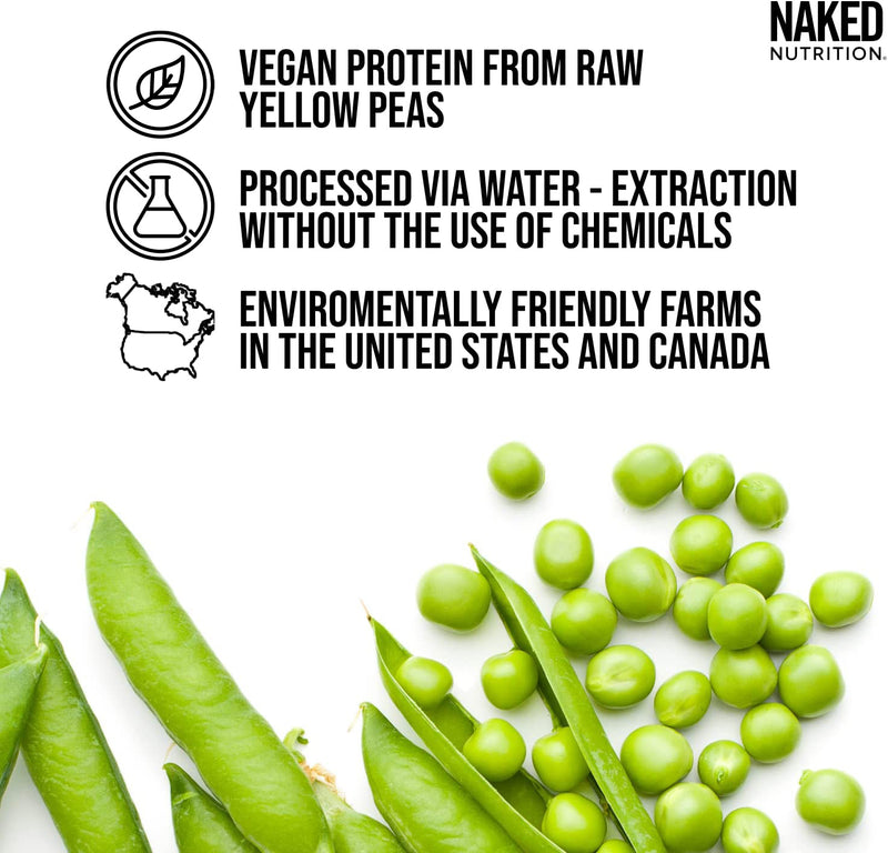 Pumpkin Spice Protein Shake - Pumpkin Spice